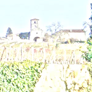 シャトー・アンジェリュス(Chateau Angelus)