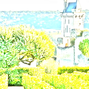 アンジュー(Anjou)