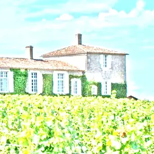 シャトー・ダルシュ(Chateau d'Arche)