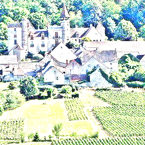 ブーズロン(Bouzeron)