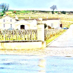 シャトー・パヴィ(Chateau Pavie)