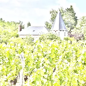 シュヴェルニイ(Cheverny)