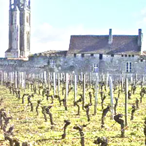 クロ・フルテ(Clos Fourtet)