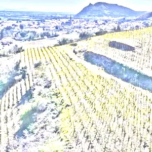 コルナス(Cornas)