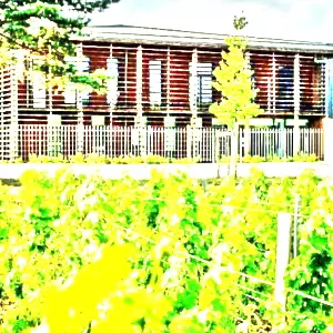 シャトー・クーアン(Chateau Couhins)