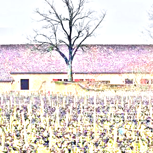 シャトー・クーテ(Chateau Coutet)