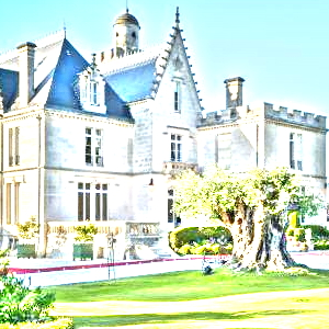 シャトー・パプ・クレマン(Chateau Pape Clement)