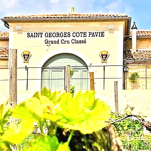 シャトー・サン・ジョルジュ・コート・パヴィ(Chateau Saint-Georges-Cote-Pavie)