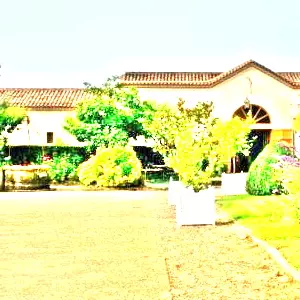 シャトー・ドワジ・デーヌ(Chateau Doisy Daene)