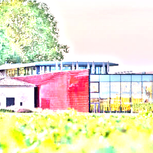 シャトー・ラ・ドミニク(Chateau La Dominique)