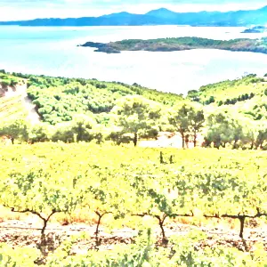 エンポルダ(Emporda)