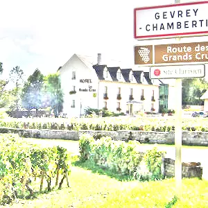 ジュヴレ・シャンベルタン(Gevrey-Chambertin)