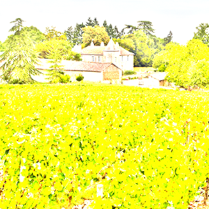 ラランド・ド・ポムロール(Lalande de Pomerol)