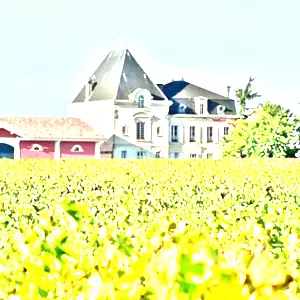 シャトー・レヴァンジル(Chateau l'Evangile)