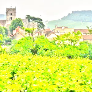 メルキュレ(Mercurey)