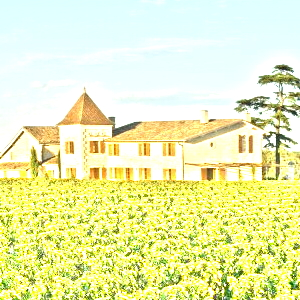 ラ・モンドット(La Mondotte)