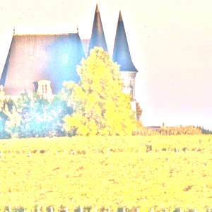 ポイヤック(Pauillac)