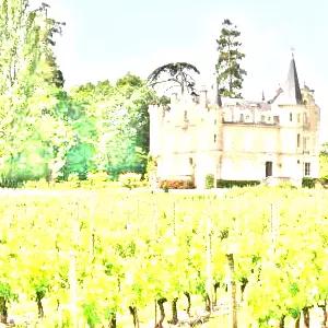 ペサック・レオニャン(Pessac-Leognan)