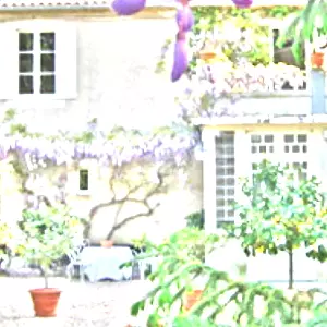 シャトー・ロメー(Chateau Romer)