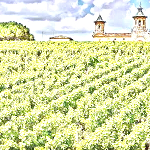 サン・テステフ(Saint-Estephe)