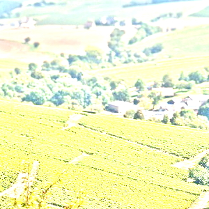 サンセール(Sancerre)