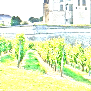 ソーミュール(Saumur)