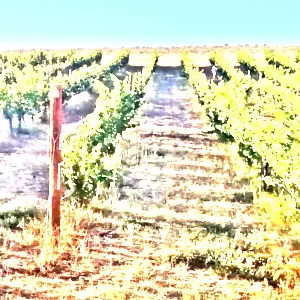 スネーク・リヴァー・ヴァレー(Snake River Valley)